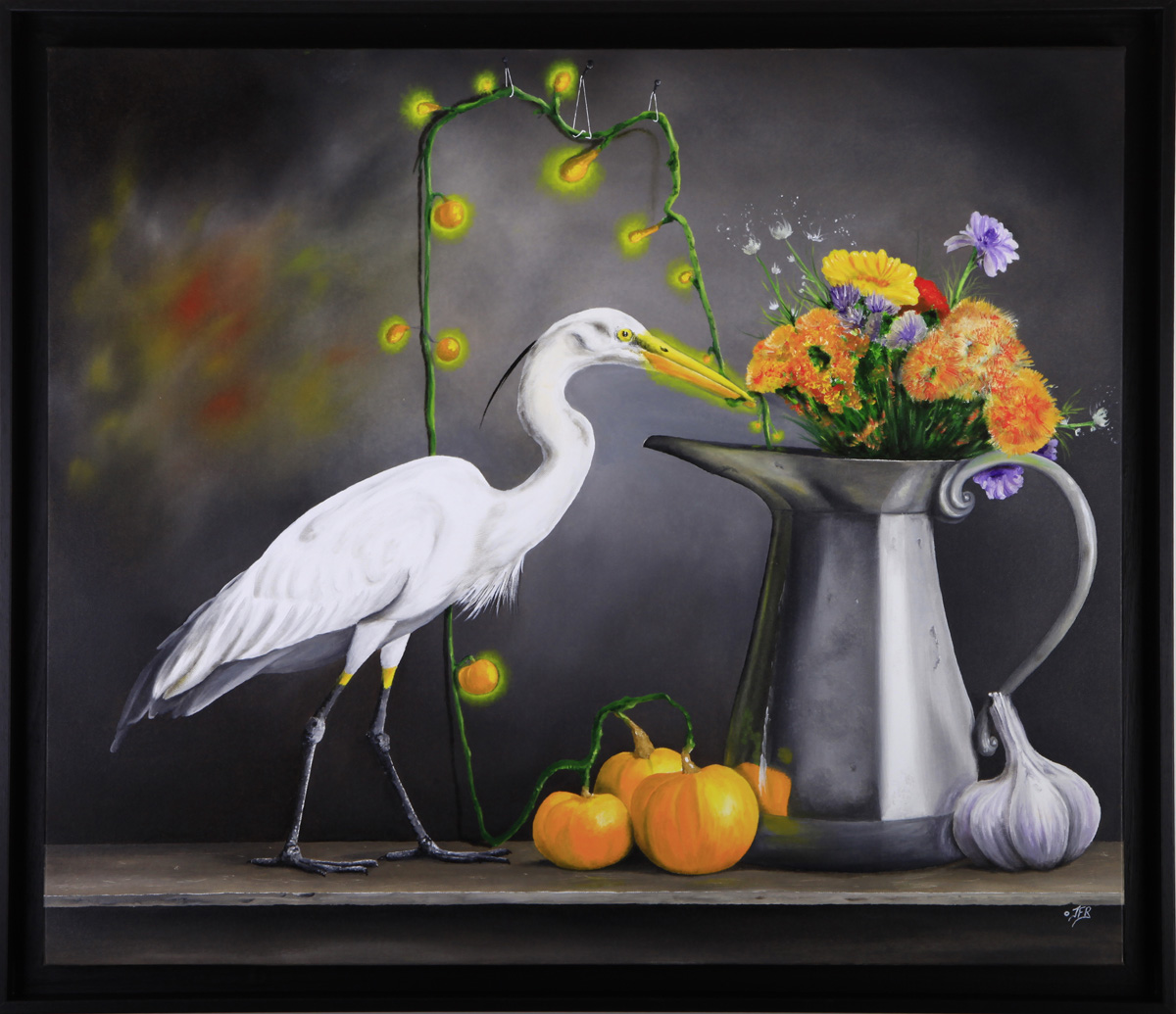 illumination illuminations